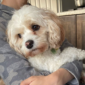 Meet your Posher, Grace